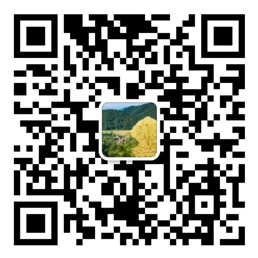 大发welcome在线购彩